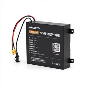 Batterie lithium-ion de haute qualité 22,4 V, capacité de 6000 mAh à 20000 mAh avec substrat en phosphate de fer - Product Image 1