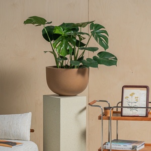 Grandi vasi per interni ed esterni <span class=keywords><strong>in</strong></span> fibra di cemento <span class=keywords><strong>in</strong></span> argilla con foro di drenaggio per la casa e <span class=keywords><strong>il</strong></span> <span class=keywords><strong>giardino</strong></span> di fiori - Product Image 4