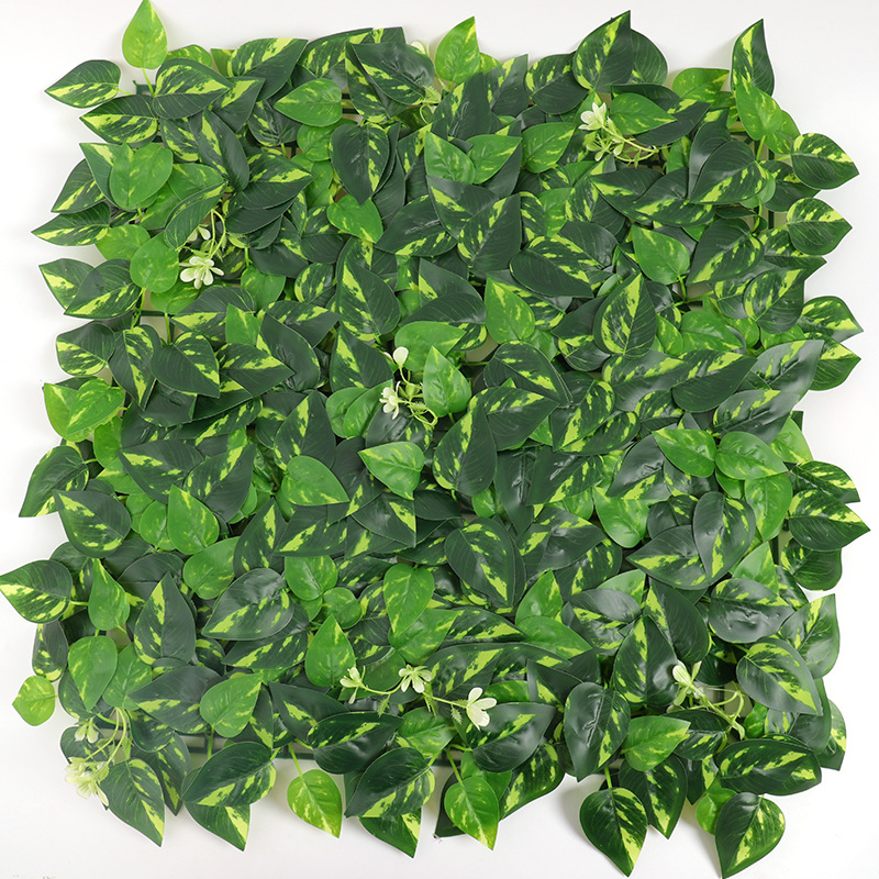 ไอวี่เขียวลายจุดเหลืองติดกาว ขนาด 50 ซม. x 50 ซม.