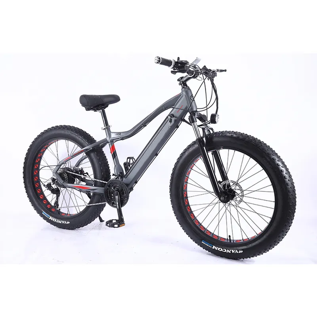 Sale 9 Speed 500w Aluminium Alloy E-bike-fahrrad Ebike Electric Bike 1000w 48v E-bike Fat Tire Electric Bicycle