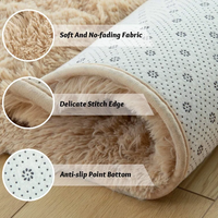 Tapis épais ultra-doux en peluche pour salon, chambre, baie vitrée, chevet, grand tapis de sol