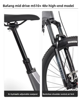 Vélo électrique en fibre de carbone Ebike EM10 Bafang M560 Moteur central 48V15Ah 12 vitesses Vélo électrique et Bicicleta Electrica