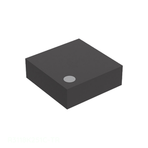 Composant électronique : puce de gestion de l'alimentation (PMIC) 6 XFDFN R3118K251C-TR, référence BOM IC, en stock - Product Image 1