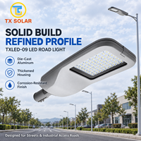 Lampu Jalan LED Luar Ruangan dengan Tiang Galvanis Celup Panas untuk Jalan, Tempat Parkir, dan Area Publik