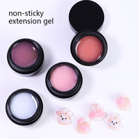 Gel Solide Nude Couleur Claire Marque Privée 12 Couleurs Pots de Gel Constructeur Sans HEMA Sans TPO Conception de Logo Gratuite pour Salons Professionnels