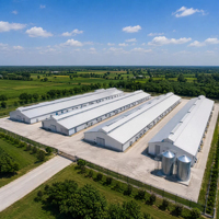 Bâtiment d'élevage de poulets de chair économique en structure acier préfabriquée, bâtiment moderne et biosécurisé pour ferme avicole