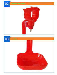 Red <span class=keywords><strong>Poultry</strong></span> Chicken <span class=keywords><strong>Cup</strong></span> <span class=keywords><strong>Drinker</strong></span> Mamilo Bebedor com Copo plástico Bebedores Frango - Product Image 6