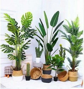 Linwoo Paradise Palm Planta en maceta artificial Certificado UV Material de imitación Tamaño pequeño a grande Bird of Paradise Flower Tree - Product Image 6