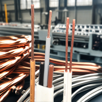 1,5mm 2,5mm 4mm 6mm AWG BV Kupfer-Isolierkabel PVC-Material Massiver Leiter 750V Nennspannung für Freileitungsanwendungen