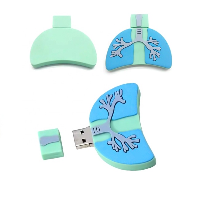 Medical USB Flash Drive Gifts Pharmaceutical USB Memory Stick 4GB 8GB 16GB 32GB Pendrive Heart Lung Brain Kidney Flash Drive