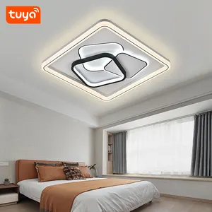 איכות גבוהה עיצוב פשוט תקרה מנורת סלון חדר שינה מטבח אפליקציה מרחוק שליטה הוביל אור