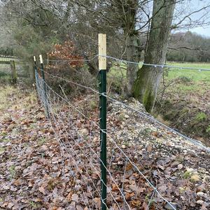 Postes de Acero Pintados de 6, 7 y 8 Pies para Cercas Agrícolas y de Granja - Product Image 4