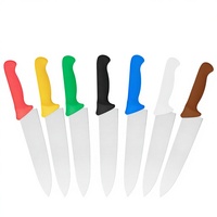 Couteau professionnel moderne et minimaliste en acier inoxydable avec manche coloré en PP pour hôtels, restaurants et cuisines – Lame oblique