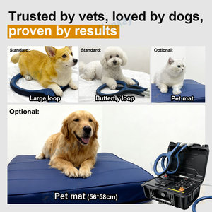 Máquina PEMF Calmante para Perros y Gatos, Alivio del Estrés, Terapia de Campo Electromagnético Pulsado, Herramienta de Bienestar - Product Image 1