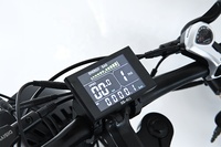 Disiyuan 20 Pouces Super S9 Vélo Cargo Électrique VTT 48V Pneus Larges Vélo Électrique V20 Vélo de Montagne Électrique 1000W 500W