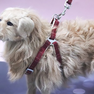 Ensemble <span class=keywords><strong>Harnais</strong></span> et Laisse <span class=keywords><strong>Anti</strong></span>-Évasion en Nylon pour <span class=keywords><strong>Chien</strong></span>, Type Gilet Réglable, Corde de <span class=keywords><strong>Traction</strong></span> pour Chiens de Petite, Moyenne et Grande Taille - Vente en Gros - Product Image 4