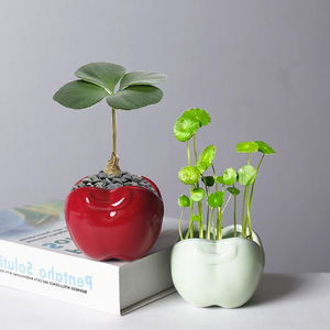 <span class=keywords><strong>Pot</strong></span> en céramique pour plantes succulentes, motif <span class=keywords><strong>pomme</strong></span> mignon, transfrontalier, vase pour plantes vertes succulentes, <span class=keywords><strong>petit</strong></span> <span class=keywords><strong>pot</strong></span> de bureau créatif, ornement respirant - Product Image 1