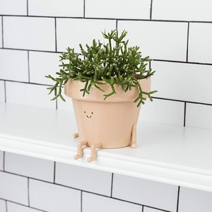 Nouveauté <span class=keywords><strong>Pot</strong></span> <span class=keywords><strong>de</strong></span> plante pour le visage, <span class=keywords><strong>Pot</strong></span> <span class=keywords><strong>de</strong></span> <span class=keywords><strong>fleur</strong></span> Unique et mignon avec trou <span class=keywords><strong>de</strong></span> Drainage - Product Image 4