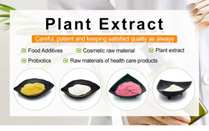 Le capsule di glicinato di magnesio OEM/ODM per adulti e adolescenti aumentano la salute del cervello Non per il prodotto di bellezza delle donne incinte - Product Image 6