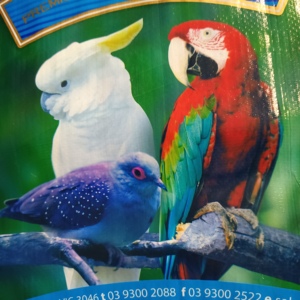 20kg 30kg sac en plastique pp transparent tissé sac café grains graines grain stockage sacs pp tissé ciment sac <span class=keywords><strong>pour</strong></span> aliments <span class=keywords><strong>pour</strong></span> animaux - Product Image 5