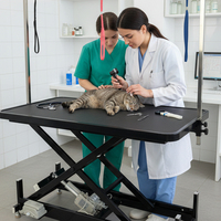 Table de toilettage électrique pour animaux de compagnie en acier inoxydable, robuste, haute capacité de charge, hauteur réglable, plateau antidérapant, avec bras