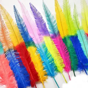 Оптовая продажа с фабрики, двухцветные отбеленные Окрашенные Перья страусиного наньду 18-20 дюймов для украшения карнавала