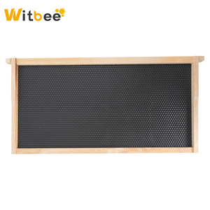 Kit de marcos y cimentaciones de colmena profunda Paquete de 20 marcos de madera de cría Marco de flujo de miel de base de plástico sumergido en cera de abejas natural - Product Image 3