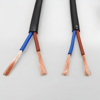 Câble d'alimentation plat souple à 2 conducteurs de 0,5 à 4 mm², gainé, en cuivre pur, pour éclairage LED, cordon d'alimentation automobile, projets de bricolage