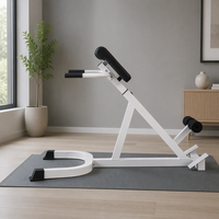 Chaise Romaine Pliable et Réglable pour Entraînement Musculaire Abdominal et Dorsal, Banc d'Hyperextension Sûr pour Salle de Sport Commerciale – Vente en Gros