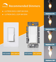 Vintage C35 4W LED Bougie Ampoules Dimmable LED Filament Ampoule Ambre Verre LED Edison Ampoule 110V/220V CE PSE Rohs