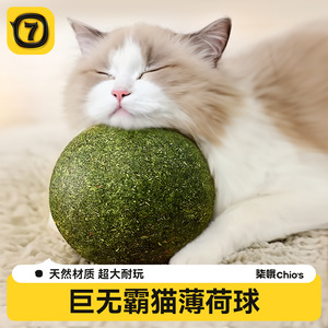 Balle à chat Qi Oh Catnip extra large 10 cm, jouet à mâcher pour nettoyer les dents des chats - Product Image 3