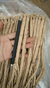 Корень Dang shen szechwon tangshen для травы tonify Qi - Product Image 5