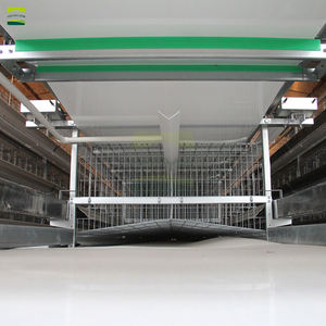 Solución Integral para Granjas Avícolas Modernas: Gallineros de Acero Personalizados y Sistemas de Jaulas Apilables Totalmente Automatizados - Product Image 2