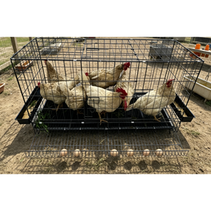 Gabbia Portatile per Uccelli da Esterno per Avvistamento Faunistico, Allevamento di Animali Domestici e Gatti, Attrezzatura per Allevamenti di Pollame e Animali da Fattoria - <span class=keywords><strong>Vendita</strong></span> Diretta dalla Fabbrica all'Ingrosso - Product Image 2