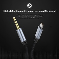 Câble audio Type-C vers 6,5 mm avec conducteur en cuivre pour connexion guitare-haut-parleur, microphone-téléphone, mixeur, utilisation instrumentale