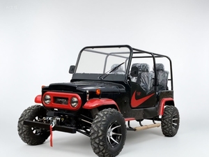 Voitures de golf électriques ou à essence pour enfants, à piles, type side-by-side, à prix abordables, buggy moderne, transport spécial - Product Image 5