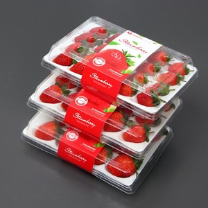 Caja de Embalaje Transparente Personalizable para Fresas, con Diseño de Tamaño Personalizable, 20/24 Celdas, Desechable, con Revestimiento de Espuma de PE - Product Image 2