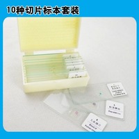 Human Histology Microscope Teaching Slides for Microscopic Science Research & Educational Purpose Prepared Slides