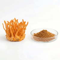 Fabrieksleverancier van biologisch gezond product Cordyceps Militaris extract, fruitlichaam champignonpoeder