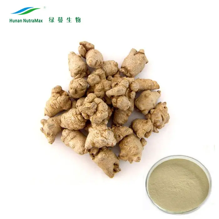 Traditional Chinese Herb Sanqi Root Extract Powder for Hemostatic