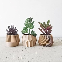 Plantes succulentes artificielles de qualité supérieure, 18 pièces, double flocage, texture réaliste, mini cactus, fausses succulentes décoratives