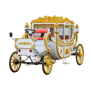 Chariot de Mariage Électrique OEM Royal Néerlandais pour Vente – Carrosse à Chevaux Spécial Transport - Product Image 2