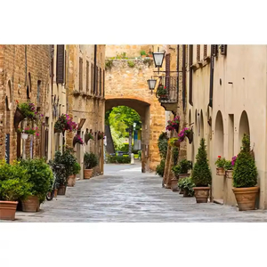 Fond <span class=keywords><strong>de</strong></span> <span class=keywords><strong>photographie</strong></span> antique européen : Allée, village, couloir fleuri, <span class=keywords><strong>maison</strong></span>, voyage, portrait, toile <span class=keywords><strong>de</strong></span> fond pour photocall - Product Image 6