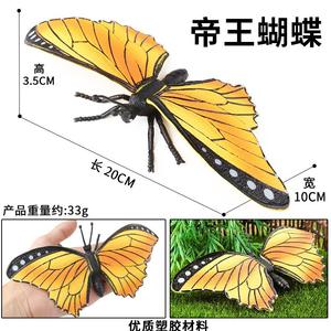 Yxs โมเดลจำลองแมลงในกระบวนการเรียนรู้ของเด็กมดแมงป่องบินตั๊กแตนตำข้าวแมงมุม - Product Image 6