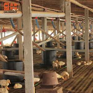 New Condition Automatic <strong>Duck</strong> and Goose Bucket Breeding System <strong>Feeder</strong> for <strong>Ducks</strong> Geese Farm Use - Product Image 2