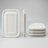 Bagasse schaal ecologisch verantwoorde afhaalschaal composteerbare voedselverpakking deksel pulp deksel voor fastfood cloud kitchen verpakkingen