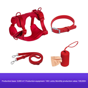 Nuovo Set di Guinzagli in PVC per Animali Domestici |   Collare e Guinzaglio Leggeri e Regolabili con Dispenser per Sacchetti Igienici |   Attrezzatura per Cani Morbida e Resistente - Product Image 2