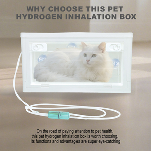 Kotak hidrogen Nebulizer hewan peliharaan yang direkomendasikan dokter hewan, penyangga pernapasan untuk kucing/anjing, ruang transparan dapat dilipat - Product Image 5