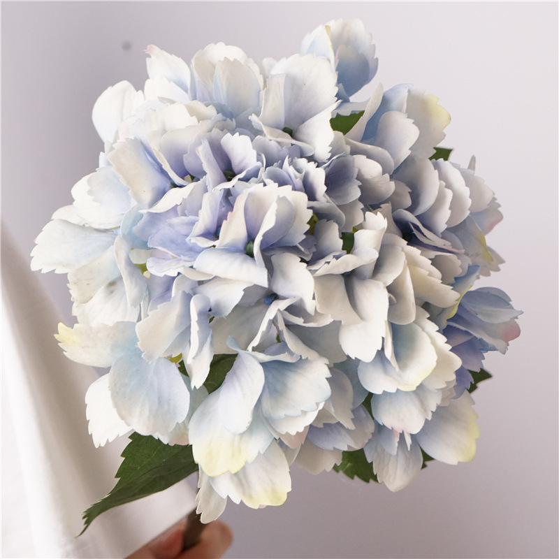 Toucher hydratant magique océan hortensia-bleu clair