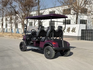 Carrito de Golf Eléctrico de 3-4 Plazas con Batería de Litio de 72V de Calidad Premium, Versión para Carretera, Suspensión Independiente, Asientos de Lujo, Nuevo - Product Image 3